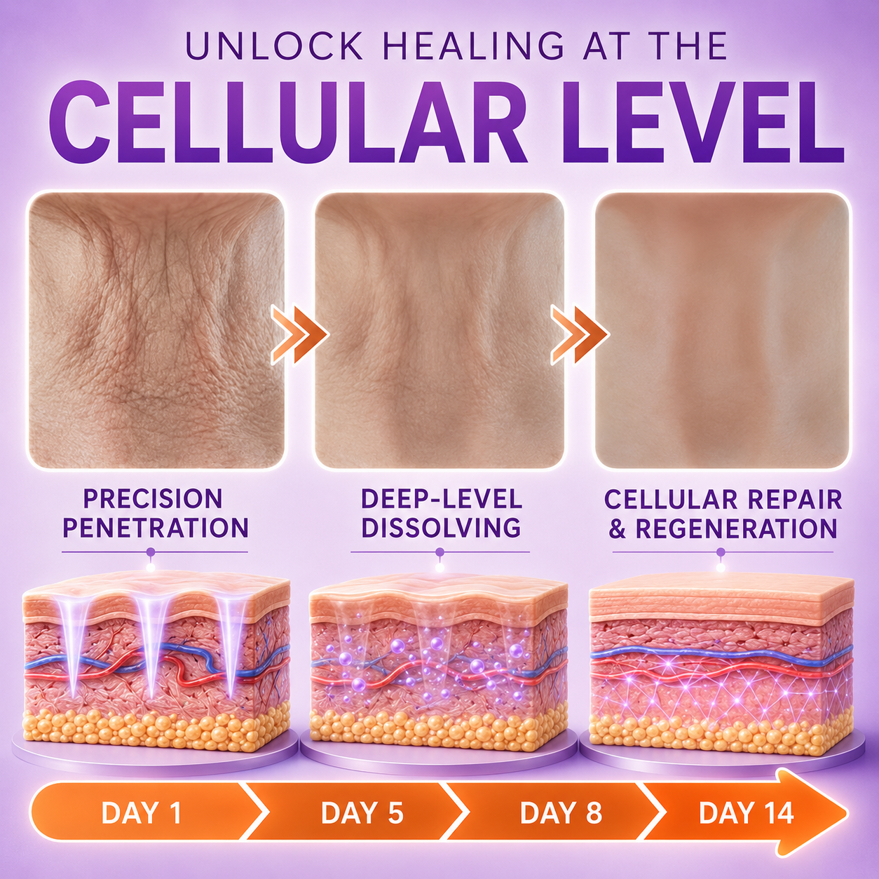 Skin contact and cellular level illustration